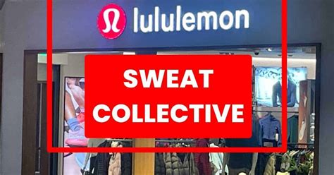 sweat collective discounts.